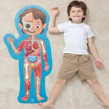 HUMAN BODY PUZZLE 60 PCS